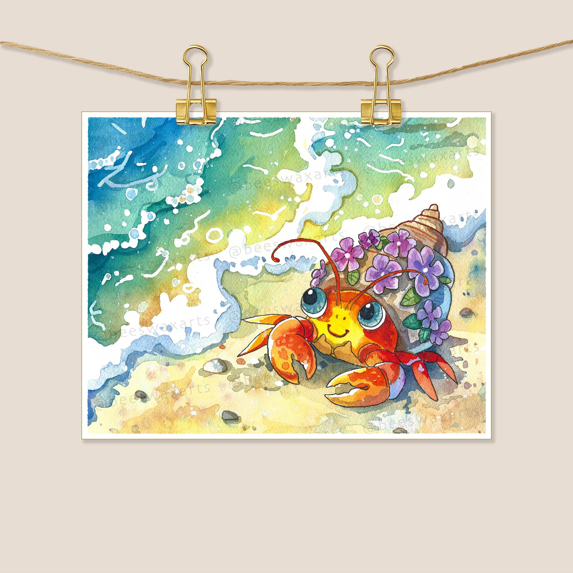 Hermit Crab