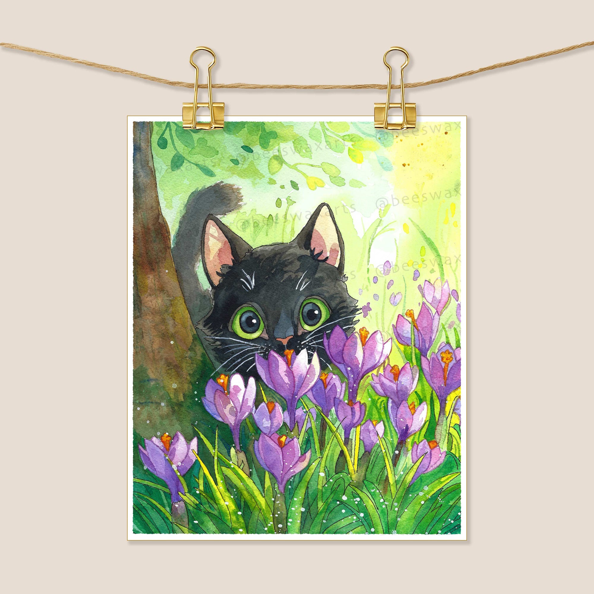 Black Cat in the Crocus Flowers