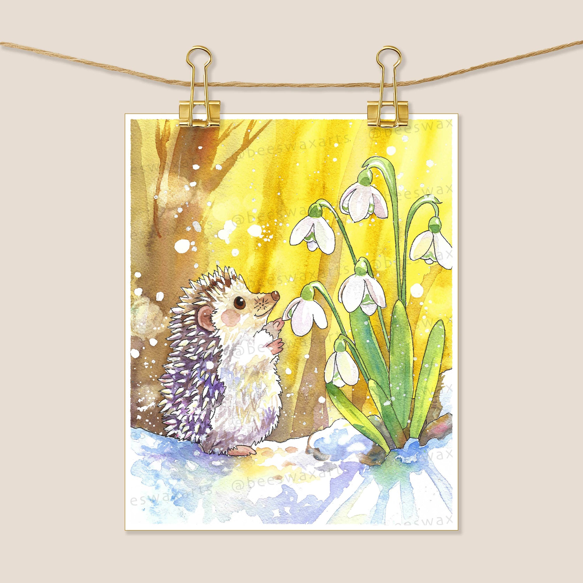 Hedgehog Snowdrops