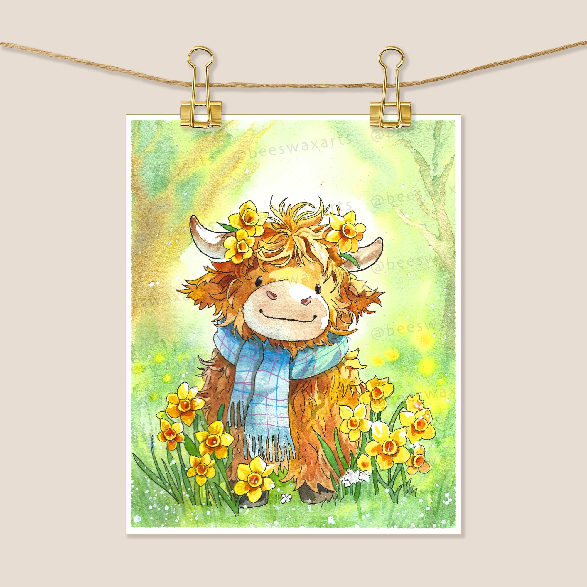 Highland Cow with Daffodils