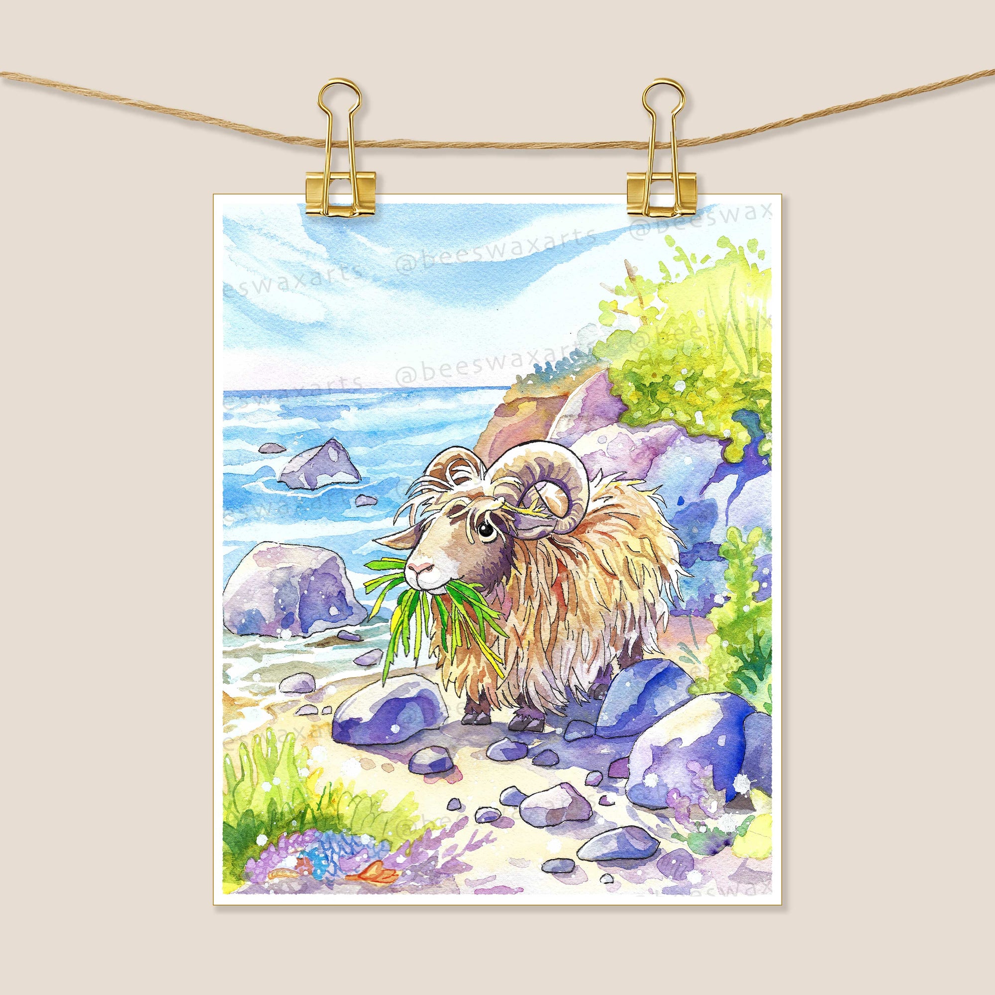Seaweed-Eating Sheep